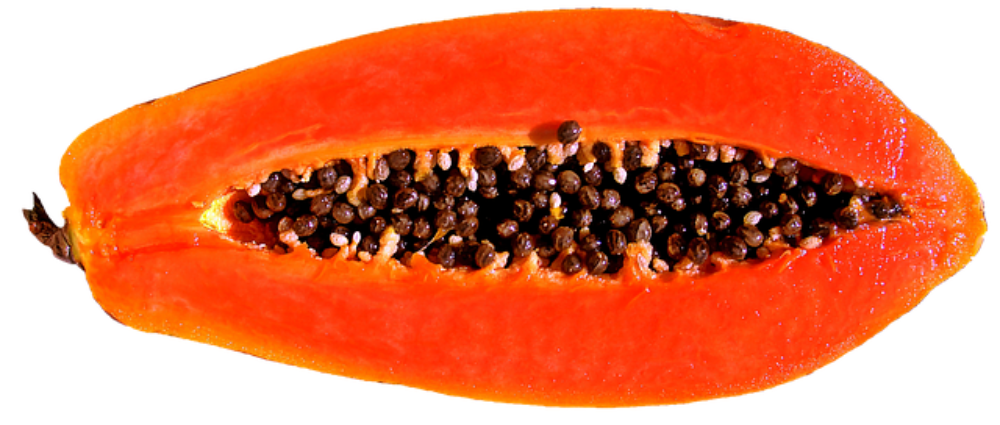 + PAPAYA 100gr