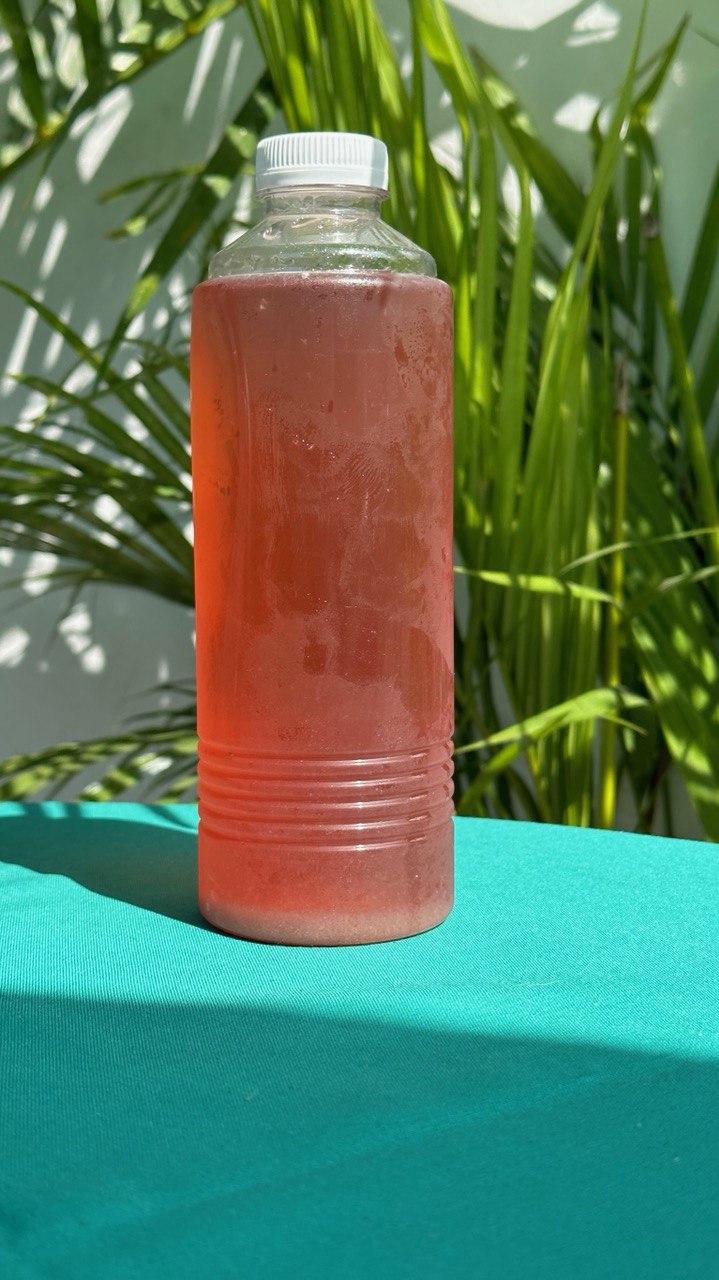 Berry Kompot bottle (450ml)