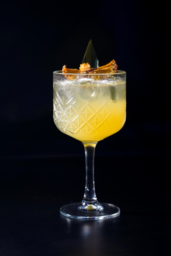 Tropical Elixir