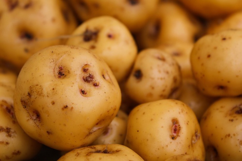Papas Francesas