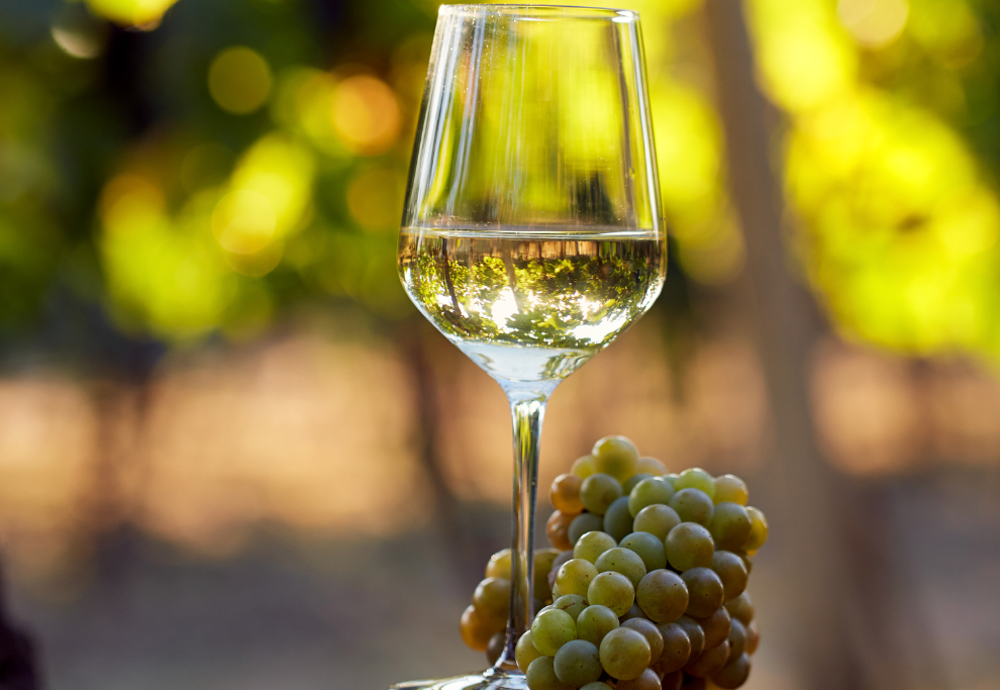Homemade Wine White Dry- თეთრი მშრალი ღვინო სახლის
