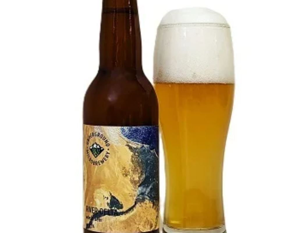 IPA Craft Beer
