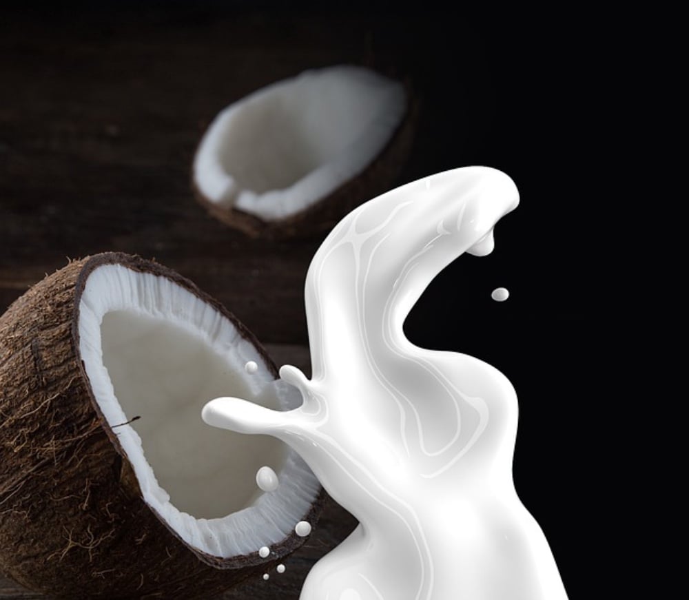 Coconut Milk - ქოქოსის რძე