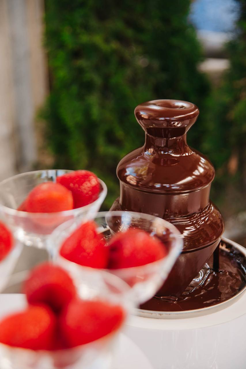Strawberry Chocolate Bar