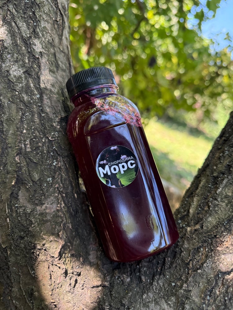 Морс ягідний