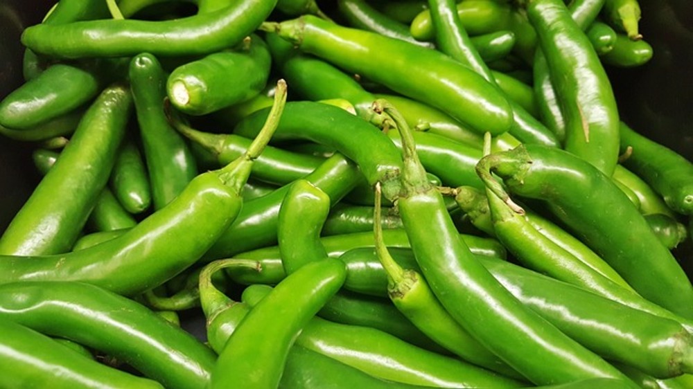Serrano Heat Roll