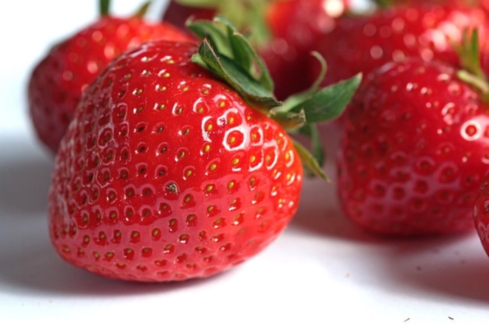 Fresa Fresh Ch