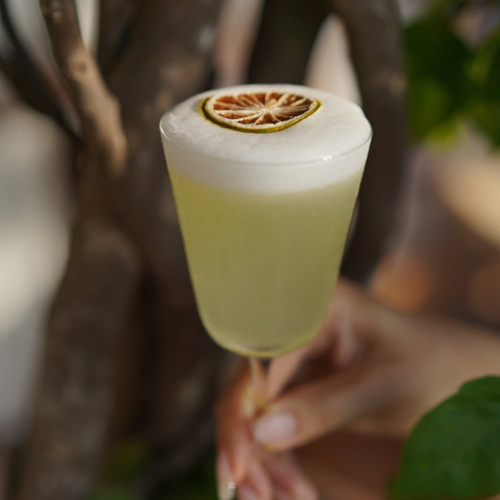 Limoncello Gin Fizz