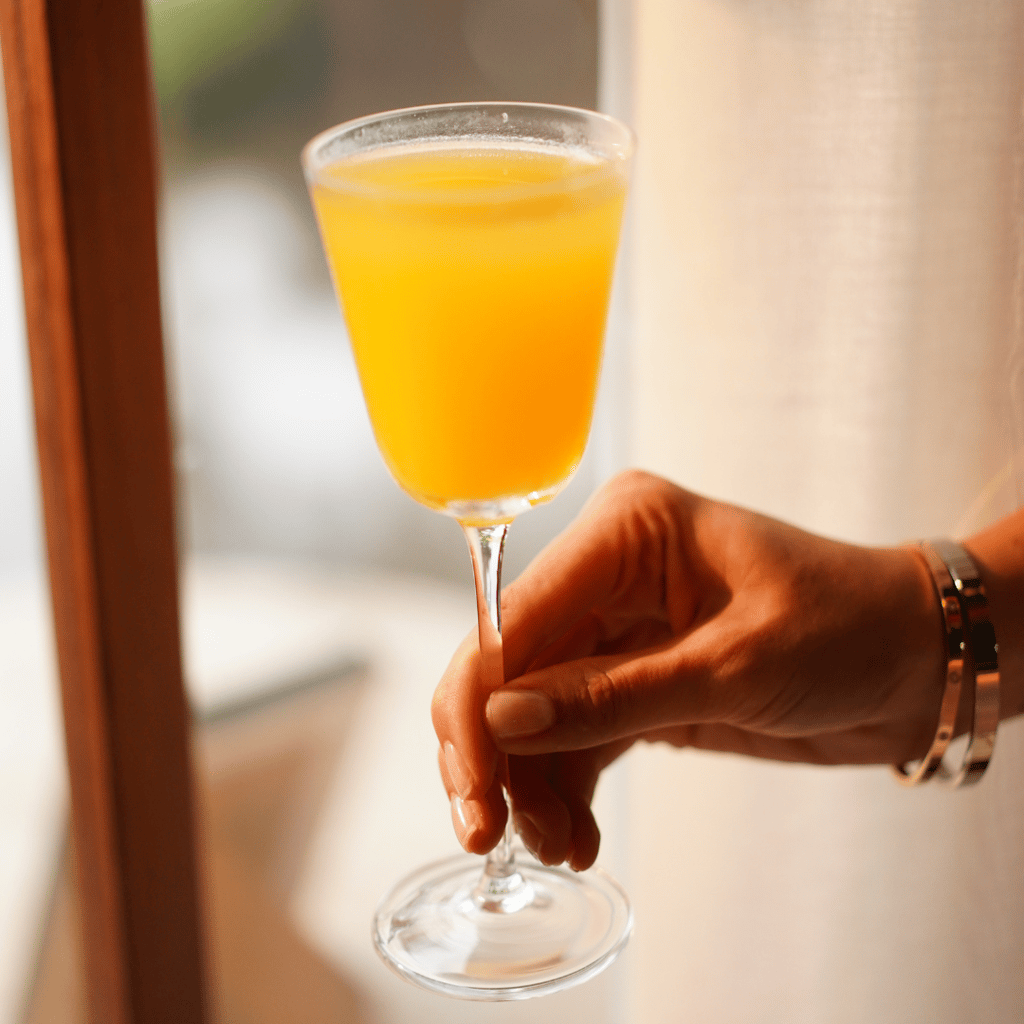 Mimosa