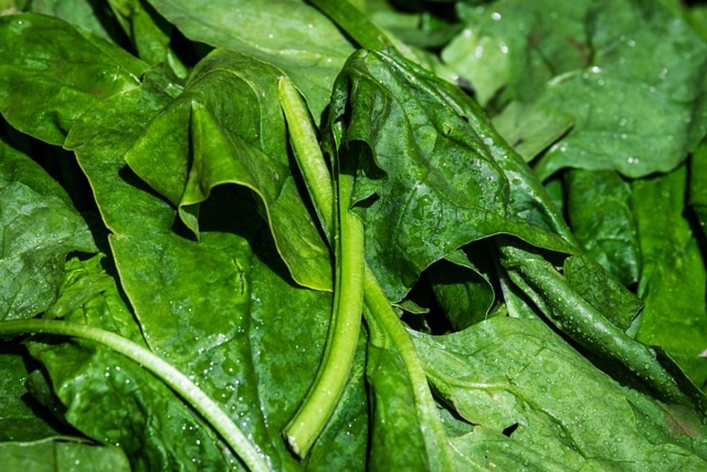 extra de espinaca