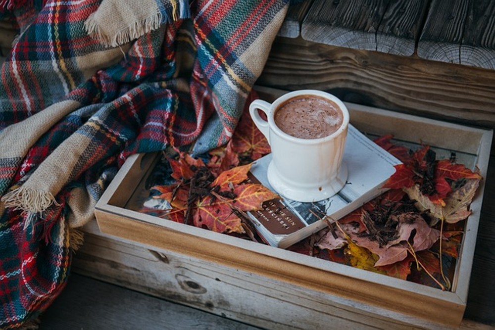 chocolate 16 oz