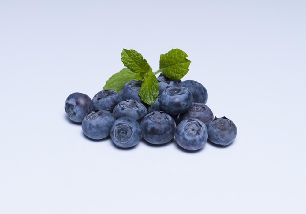 Blueberry Fresh 40 g