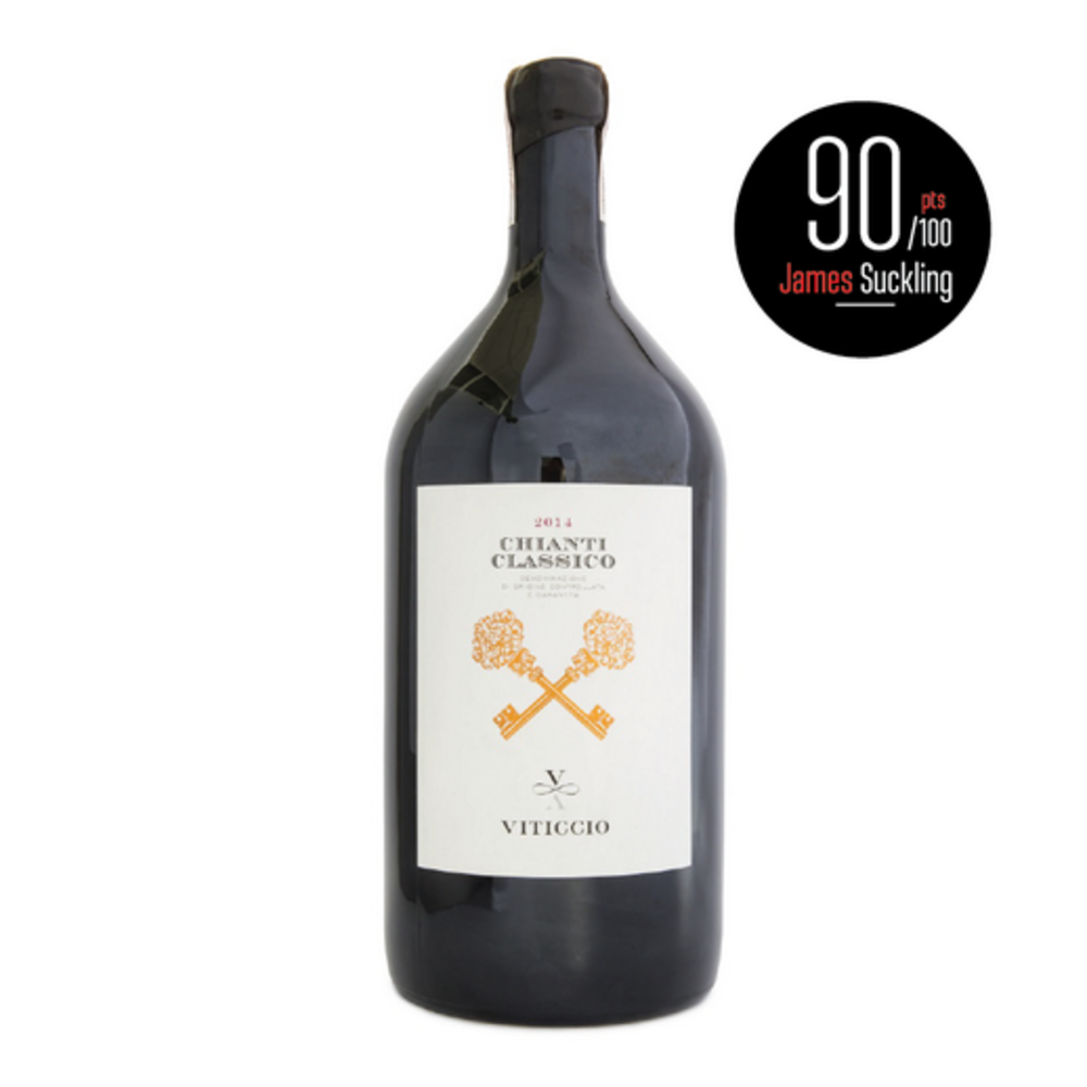 Вино Fattoria Viticcio Chianti Classico Bio 3л