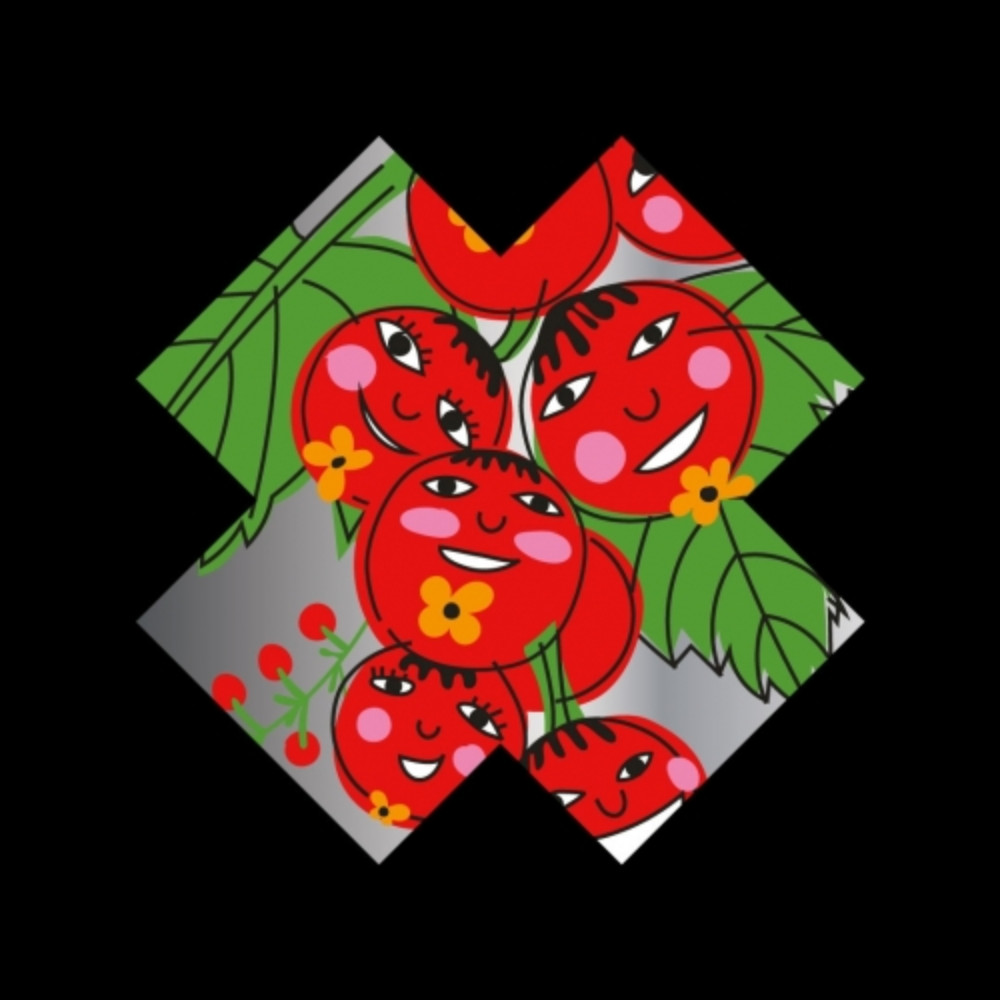 Пиво TenMen Berry Blood: Porichka 0.5L