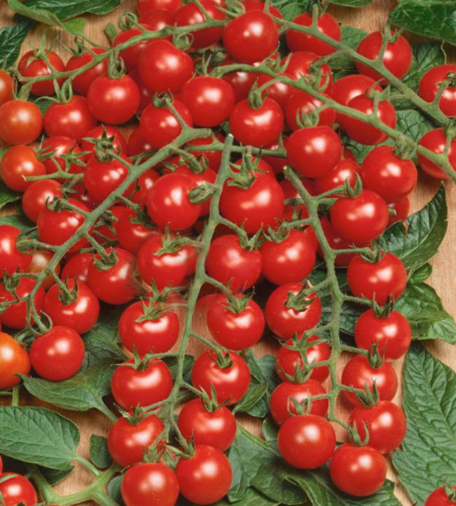 Томат коктейльний (піца 30 г.)
