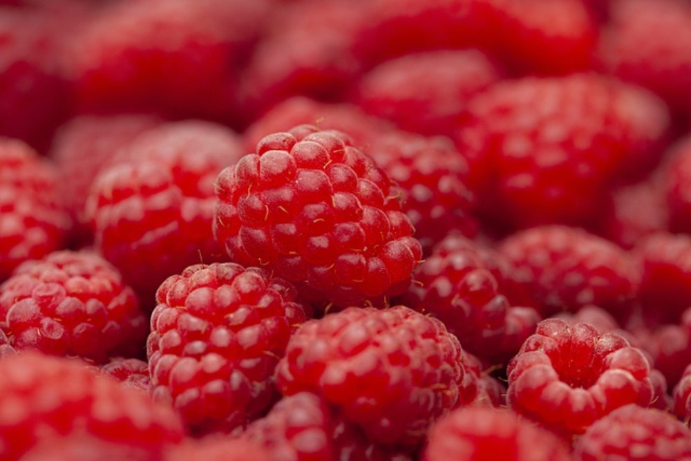 Raspberry & aloe