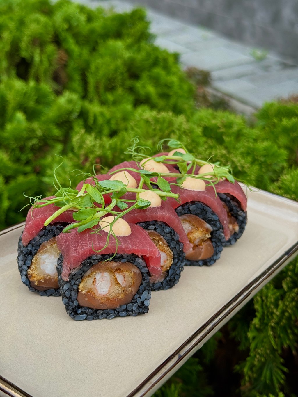 Dark Roll