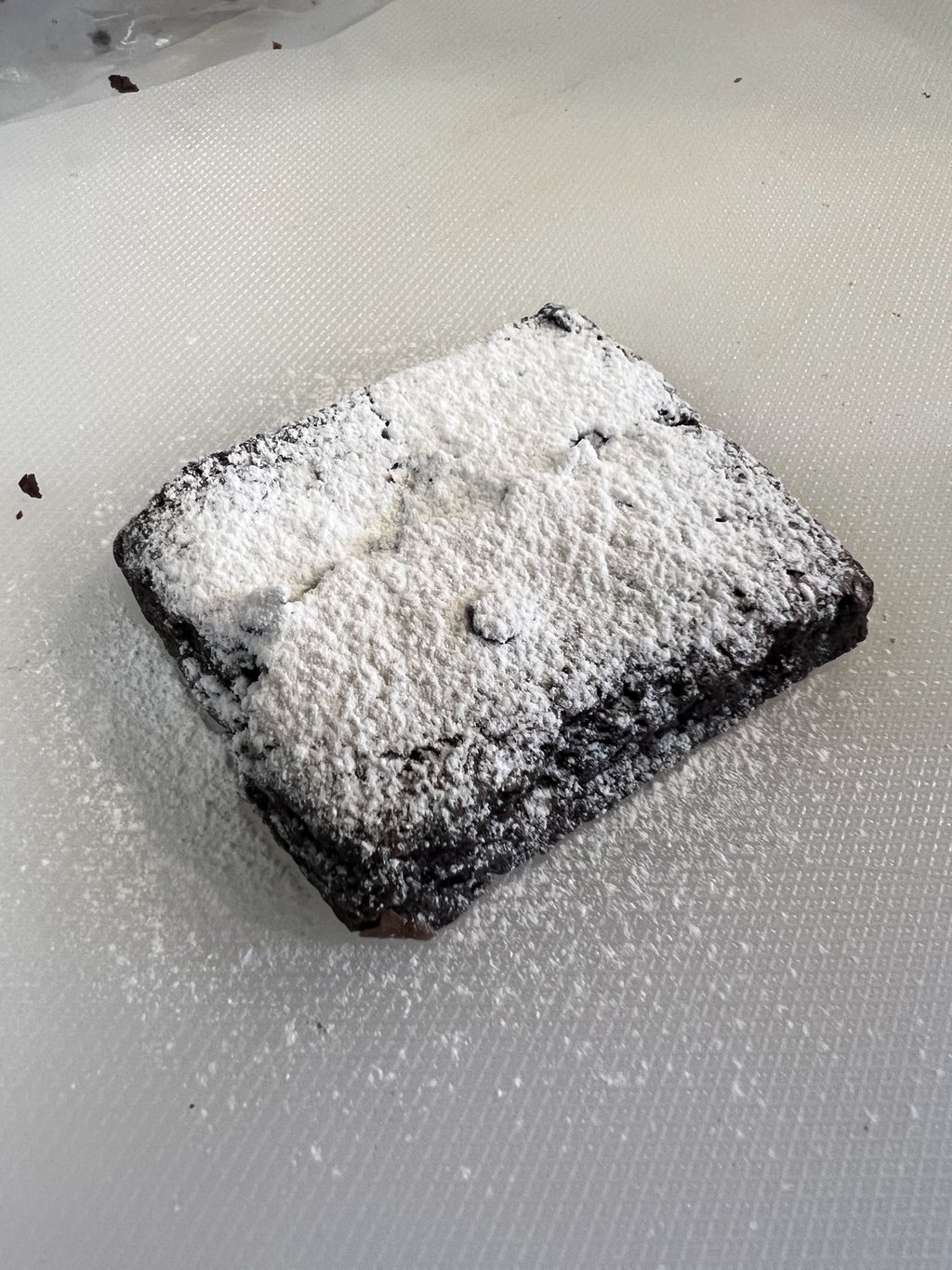 CAT Brownie Ch