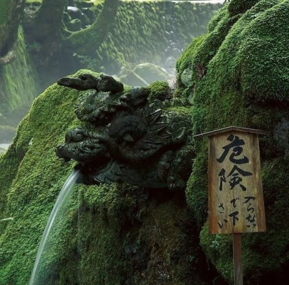 Tie Guan Yin Big