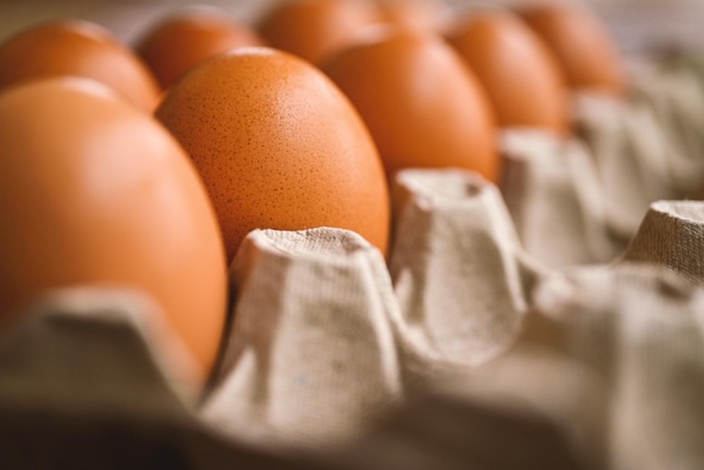 EGG