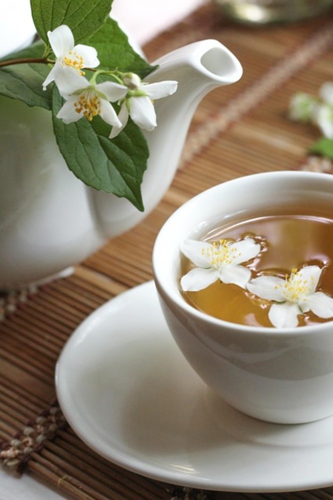 Kombucha Jasmine