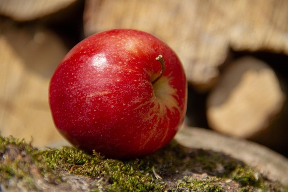 PP Cookies Apple  
