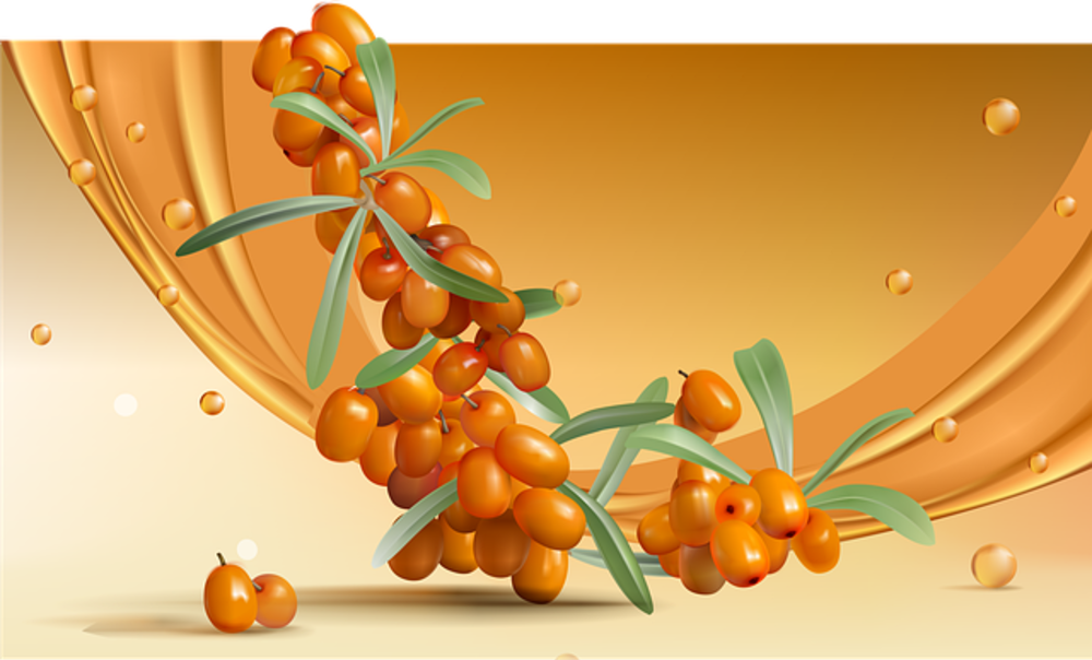 Sea buckthorn mochi