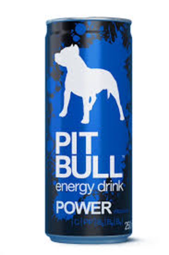 Pit Bull