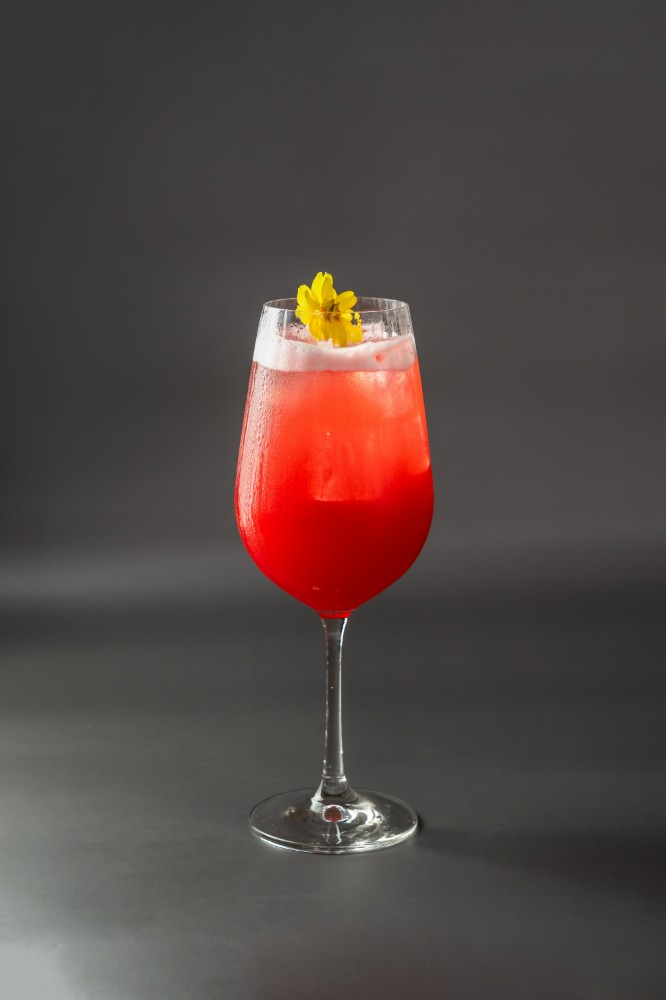 Watermelon Spritz