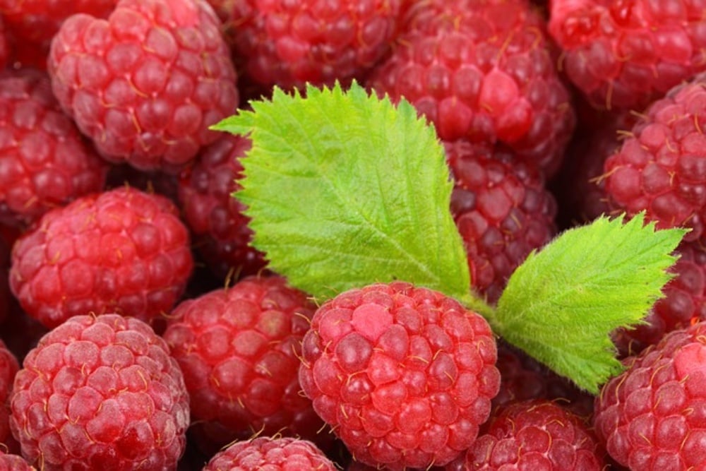 Malteada de frambuesas