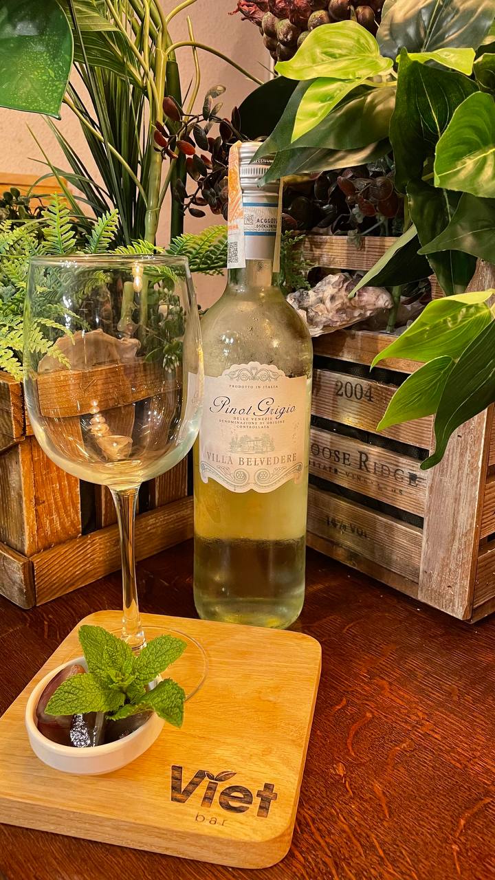 Вино Pinot Grigio