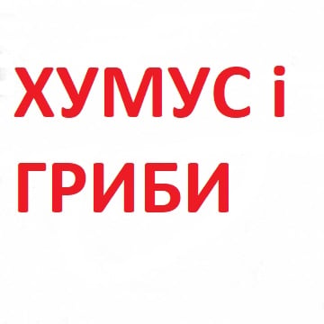 з Хумусом і Грибами 1/4