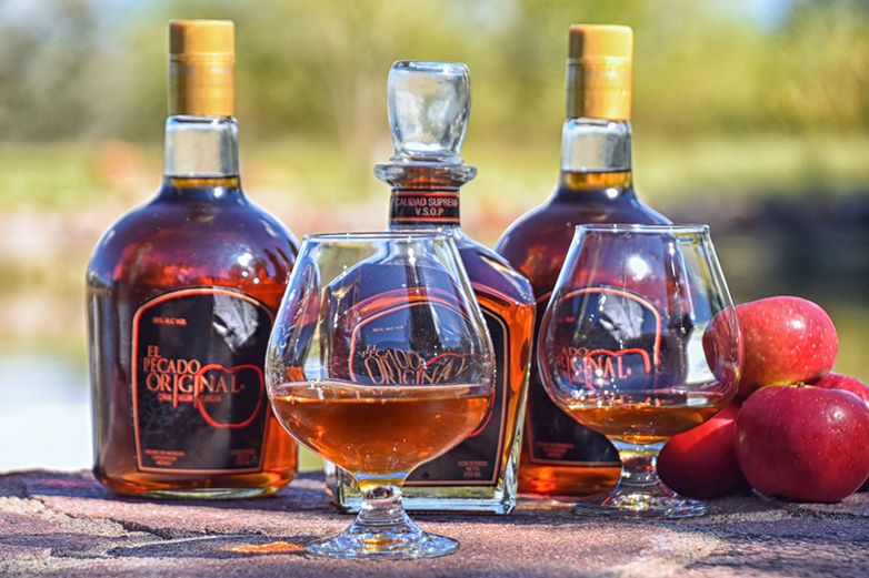 Snifter - Cognac 1.5 oz