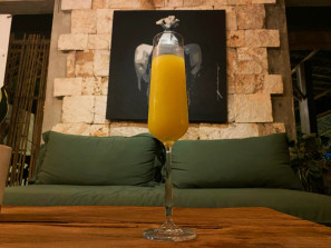 Mimosa