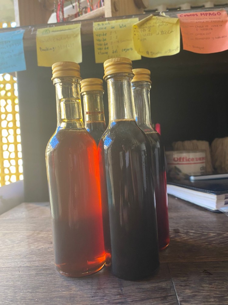 Miel de la Región 100 ML
