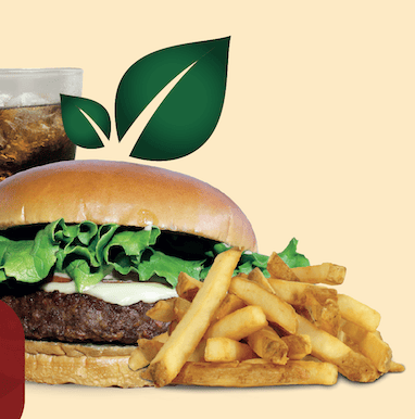 COMBO VEGETARIANA