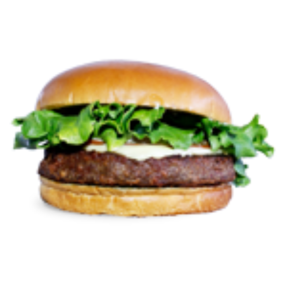 HAMBURGUESA VEGETARIANA 113 GR