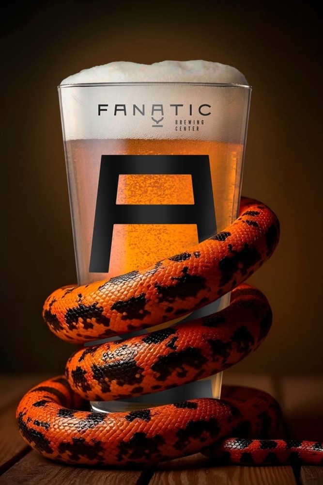 Пиво Fanatik Premium Lager 300мл