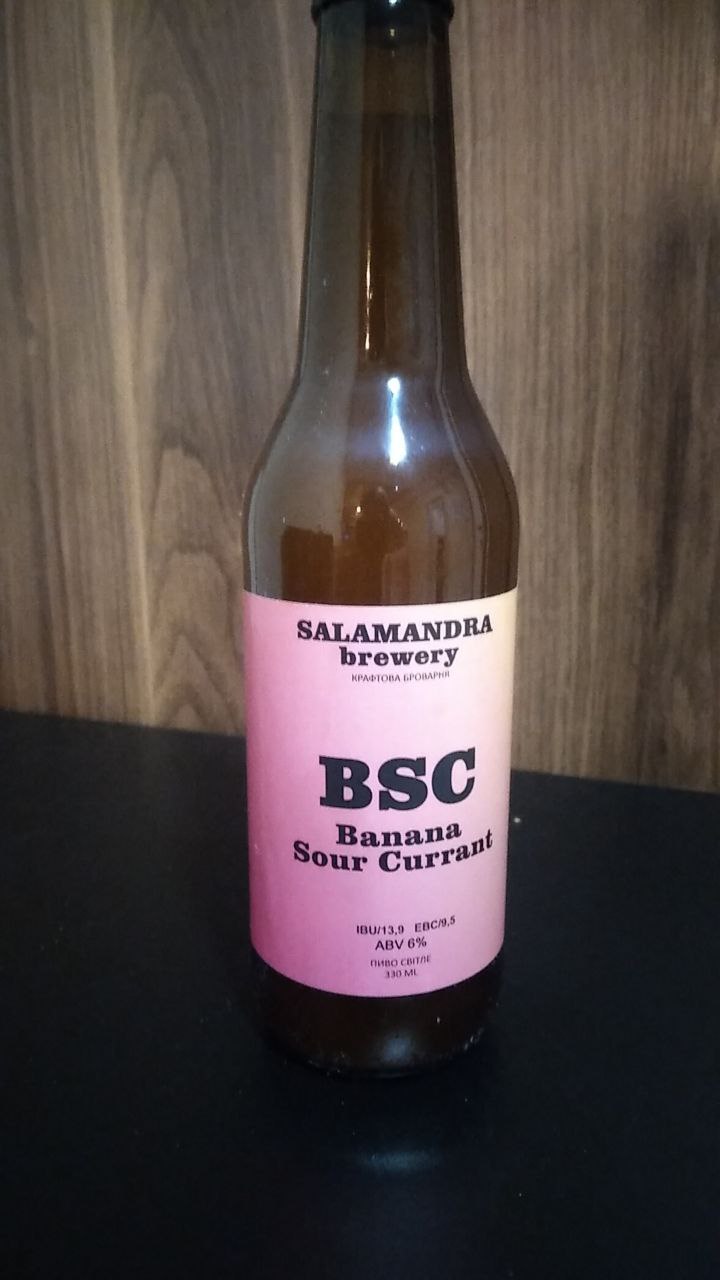 Пиво Salamandra BSC Sour (0.33л)