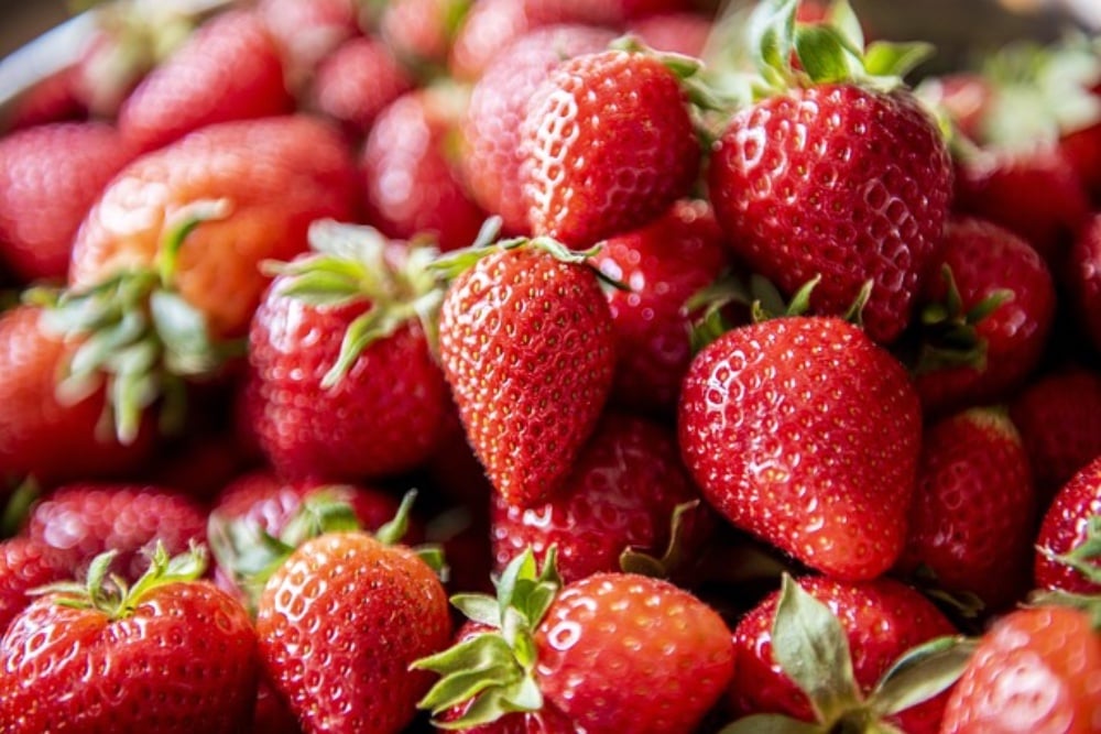 + STRAWBERRY EXTRA