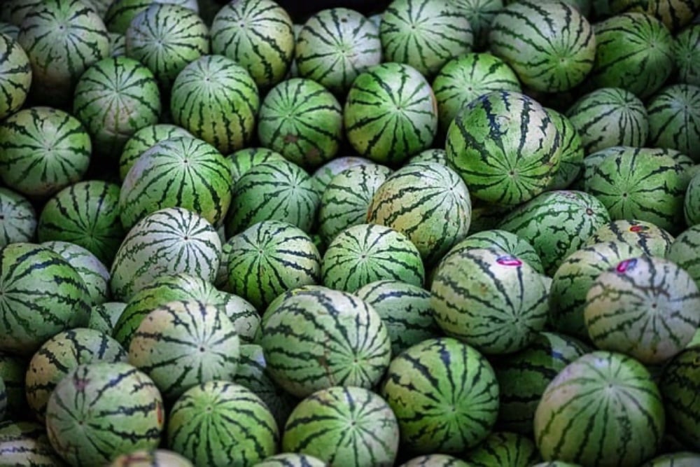 + WATERMELON 100gr.