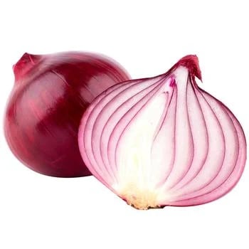 Цибуля