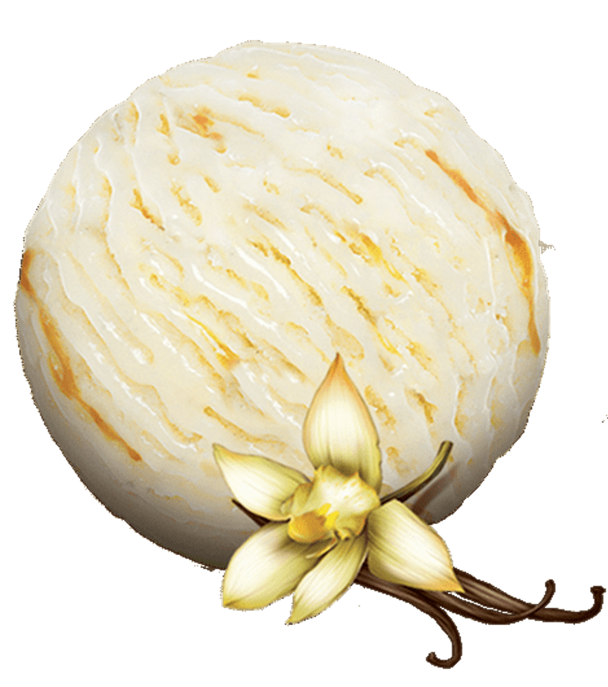Ваніль / Vanilla