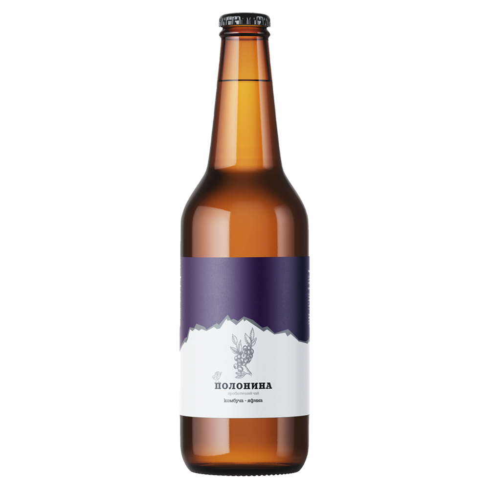 Комбуча з чорницею / Kombucha - Bilberry