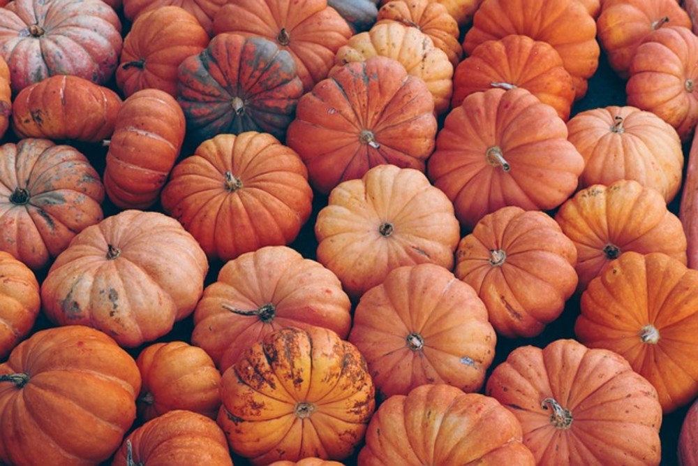 Calabaza Dulce