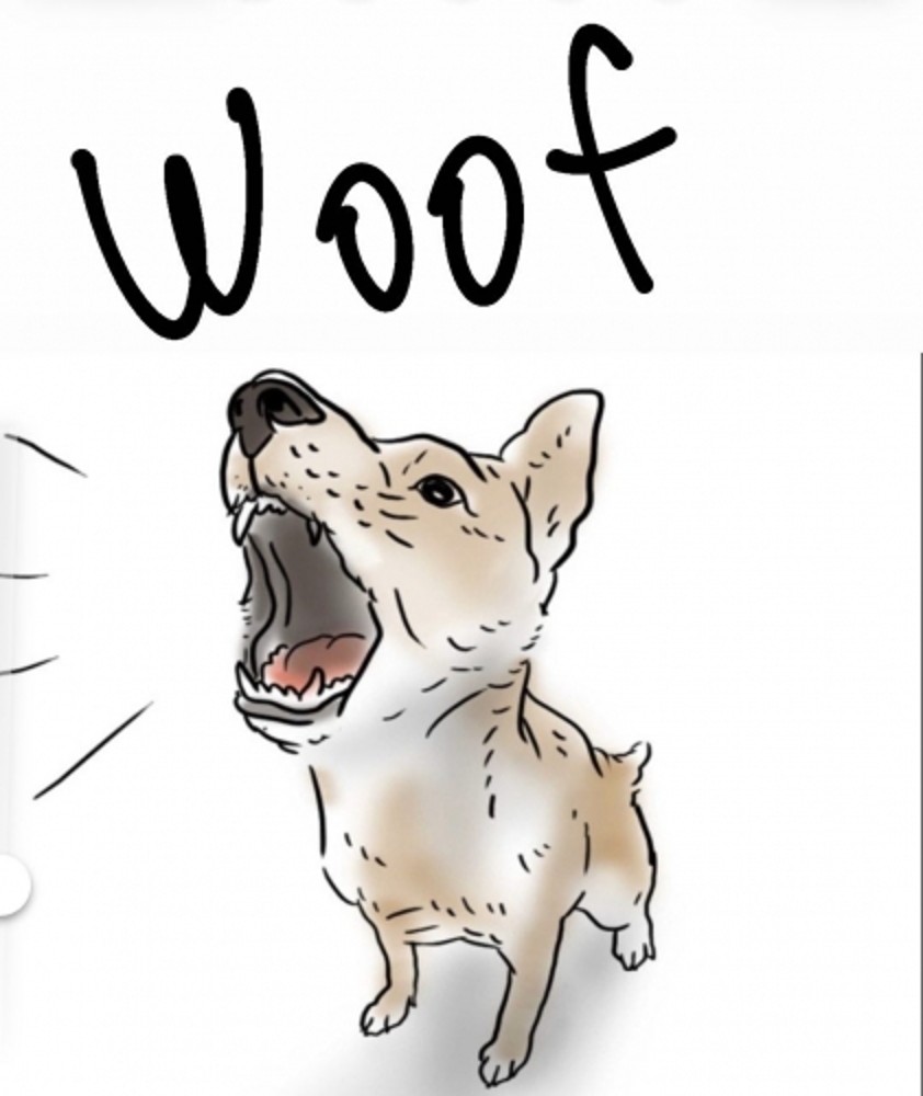 Пиво Coco WOOF