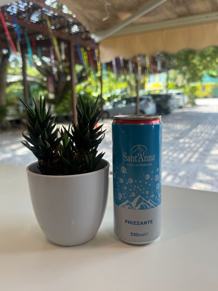 Sant’Anna Sparkling Water