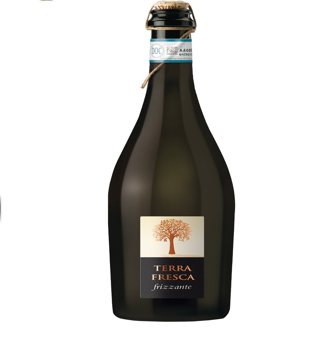 Вино ігристе Terra Fresca "Spago" Frizzante (сухе, біле, Італія) 0,75л