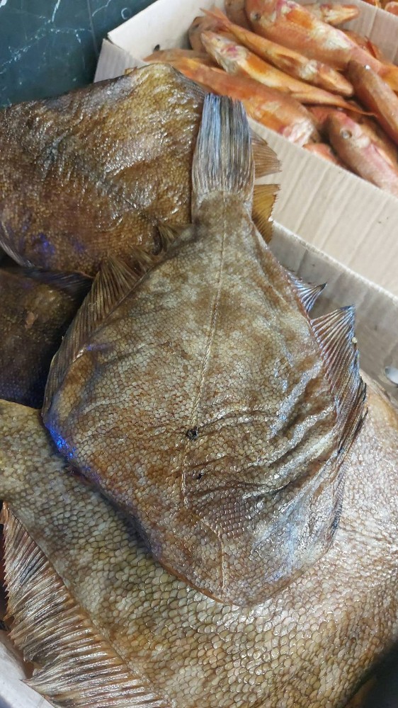 камбала х/к