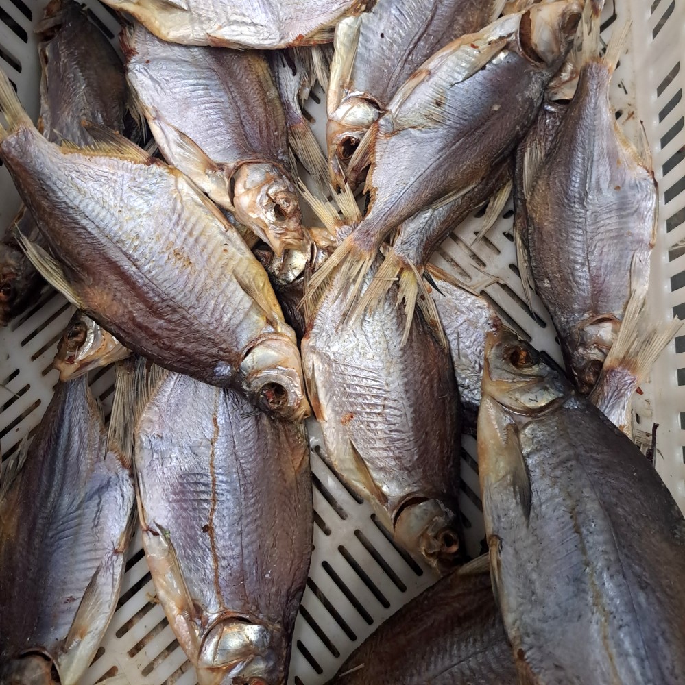 Густера чищена (Стас, Женя,Шиба, Луковс, Сорс, Нікополь, Терещенко,Fishmonder)